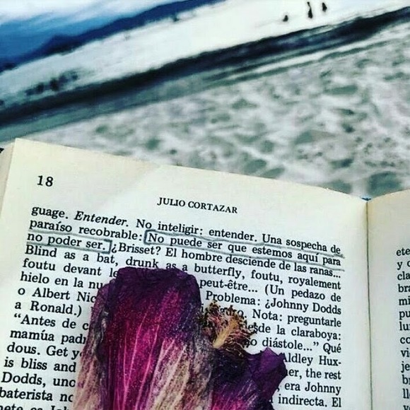 Meet your Posher, Iliana mercedes - Picture 1 of 1